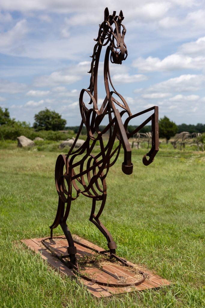 Rearing horse