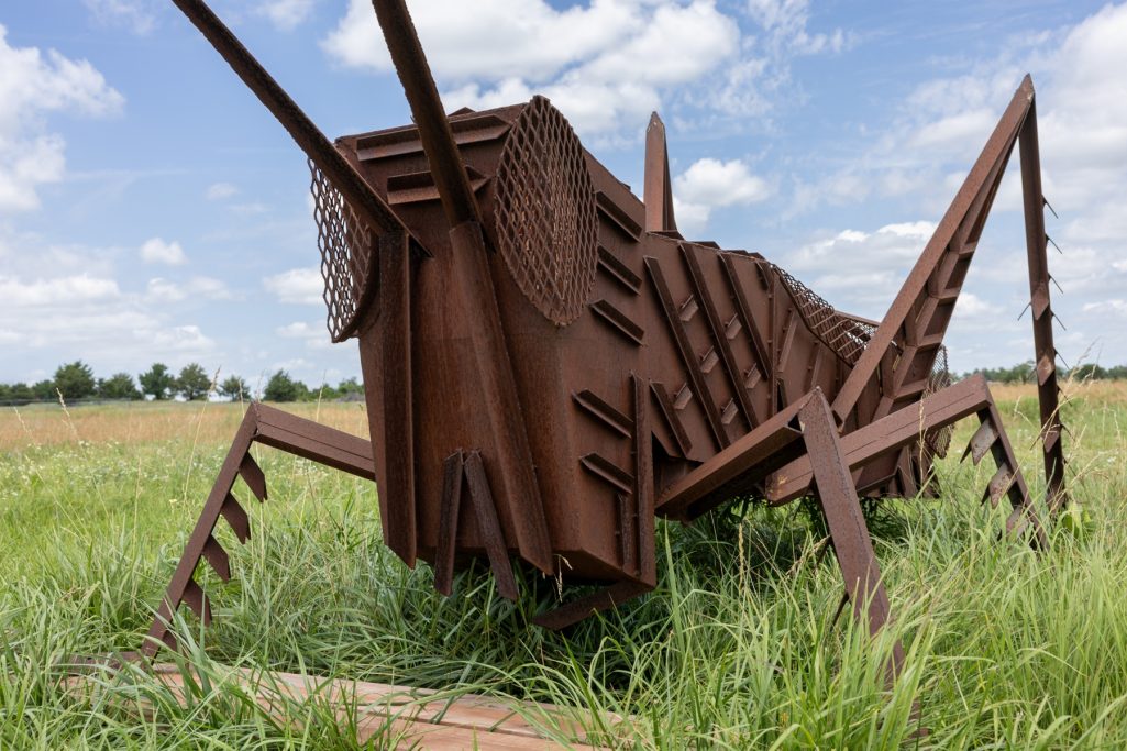Grasshopper